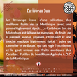 Charger l'image dans la galerie, Misterhum Pirate Caribbean Sun 20% vol 70 cl